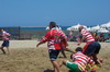 thumb_100_0383.jpg
